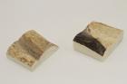 Mitres, d�fense de phacoch�re, ref:MPHACO76438