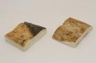 Mitres, d�fense de phacoch�re, ref:MPHACO76441