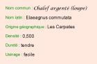 A-Origine