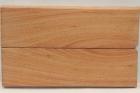Grand format, plaquettes Sophora, ref:GFPSOP41927