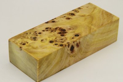 Bloc pour la coutellerie, Loupe de Peuplier stabilisé jaune, ref:BLpPEs45559j