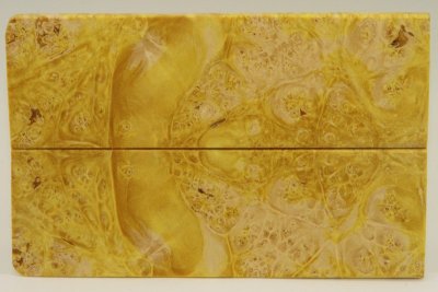 Plaquettes pour la coutellerie, Loupe d'Erable Négundo stabilisé jaune, ref:PLpErs48194j