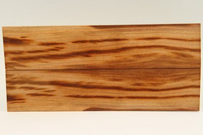 Chasse de rasoir, Prunier, ref:RAPRU49806