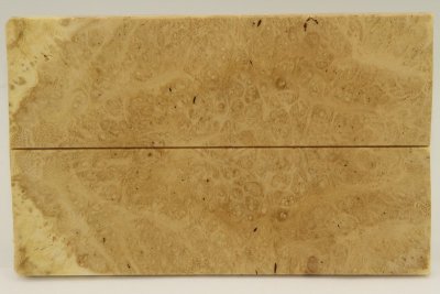 Plaquettes pour la coutellerie, Loupe d'acacia, ref:PLpAc58883