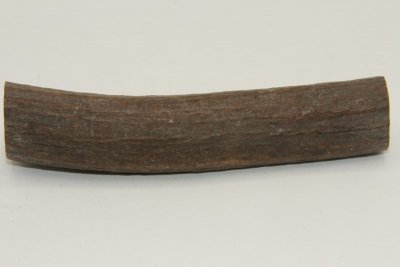 Cerf Sambar, section de merrain, ref:SecMSam59385