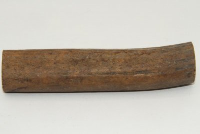 Cerf Sambar, section de merrain, ref:SecMSam59382