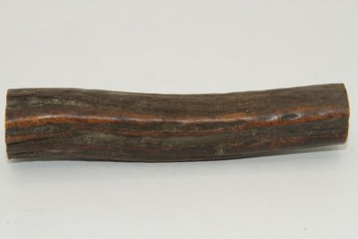 Cerf Sambar, section de merrain, ref:SecMSam59387