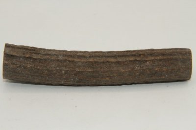 Cerf Sambar, section de merrain, ref:SecMSam59390