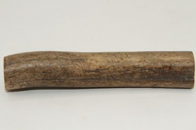 Cerf Sambar, section de merrain, ref:SecMSam59391