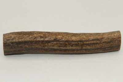 Cerf Sambar, section de merrain, ref:SecMSam59394