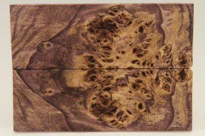 Plaquettes pour la coutellerie, Loupe de Peuplier stabilisé violet, ref:PLpPEs60367vi
