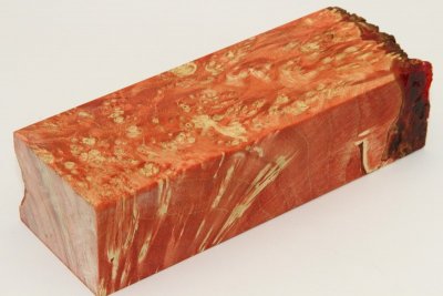 Bloc pour la coutellerie, Loupe d'Erable Négundo stabilisé orange, ref:BLpErs60557o