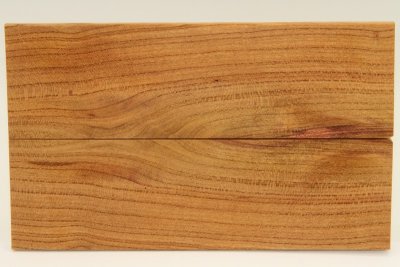 Plaquettes pour la coutellerie, Prunier, ref:PPRU65164