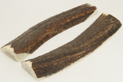 Cerf européen, bois préparé en plaquettes pour la coutellerie, ref:PBCerf66084