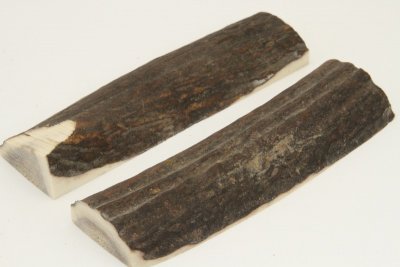 Cerf européen, bois préparé en plaquettes pour la coutellerie, ref:PBCerf66085