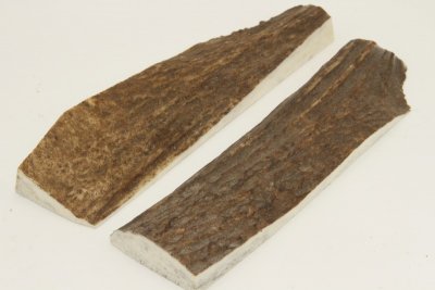 Cerf européen, bois préparé en plaquettes pour la coutellerie, ref:PBCerf66088