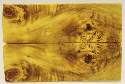 Plaquettes pour la coutellerie, Loupe de Peuplier stabilisé jaune, ref:PLpPEs66259j