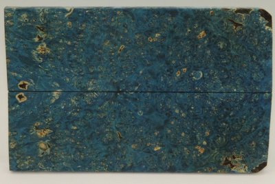 Plaquettes pour la coutellerie, Loupe d'Erable Négundo stabilisé bleu, ref:PLpErs68590b