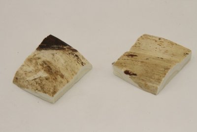 Mitres en ivoire de phacochère, ref:MPHACO69002