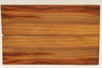 Plaquettes pour la coutellerie, Prunier, ref:PPRU69033