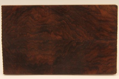 Plaquettes , Pal. du Honduras (D. stevensonii Cites E-03032/16 du 10/06/2016), ref:PPalH69249