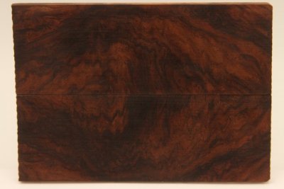 Plaquettes , Pal. du Honduras (D. stevensonii Cites E-03032/16 du 10/06/2016), ref:PPalH69250