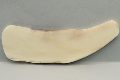 Plaquette pour la coutellerie, défense de phacochère, ref:PPHACO69448