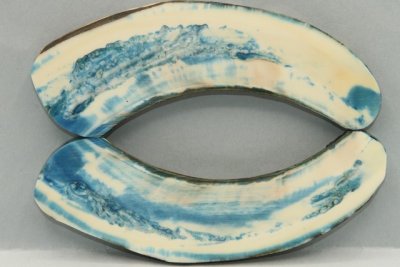 Plaquettes pour la coutellerie, défense de phacochère stabilisée bleue, ref:PPHACOs69501