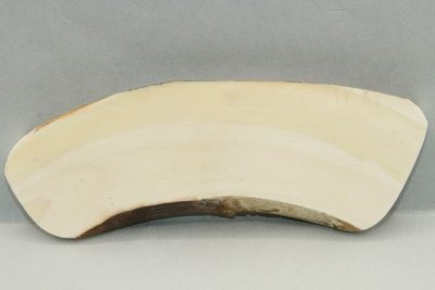 Plaquette pour la coutellerie, défense de phacochère, ref:PPHACO69495