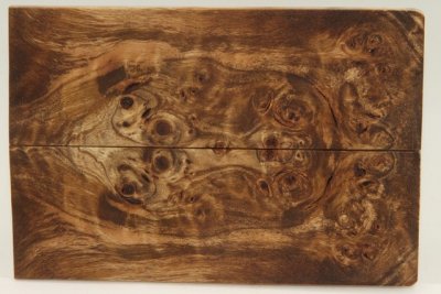 Plaquettes pour la coutellerie, Loupe de Peuplier stabilisé marron, ref:PLpPEs69581ma