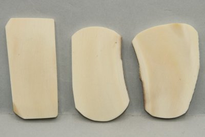 Plaquettes pour la coutellerie, lot, défense de phacochère, ref:PPHACO69618