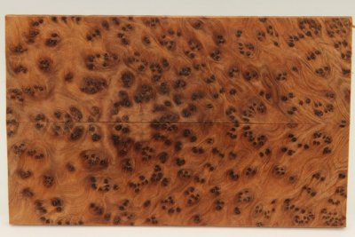Plaquettes pour la coutellerie, Ronce de Thuya du Maroc, ref:PLpTM69794