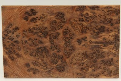 Plaquettes pour la coutellerie, Ronce de Thuya du Maroc, ref:PLpTM69798