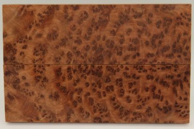 Grand format, plaquettes Ronce de Thuya du Maroc, ref:GFPLpTM69799