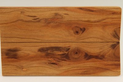 Plaquettes pour la coutellerie, Prunier, ref:PPRU70034