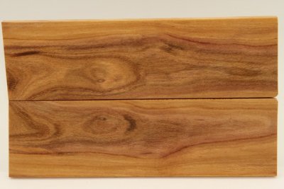 Plaquettes pour la coutellerie, Prunier, ref:PPRU70033