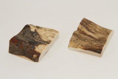 Mitres, défense de phacochère, ref:MPHACO70051