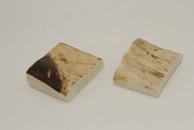 Mitres, défense de phacochère, ref:MPHACO70053