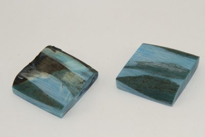 Mitres, défense de phacochère stabilisée bleue, ref:MPHACOs70057