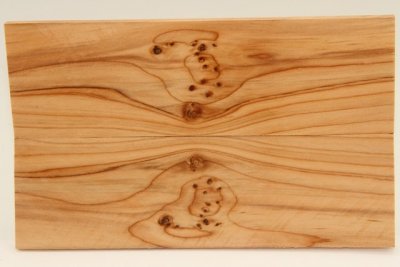 Plaquettes pour la coutellerie, loupe d'If, ref:PIF70191