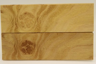 Plaquettes pour la coutellerie, Loupe d'acacia, ref:PLpAc70238