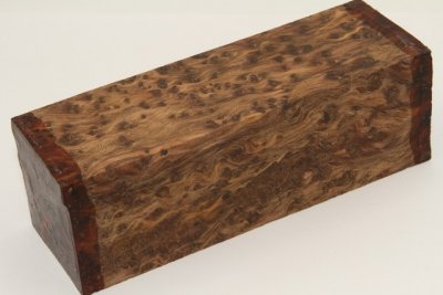 Grand format, bloc ronce de Thuya du Maroc, ref:GFBLpTM70301