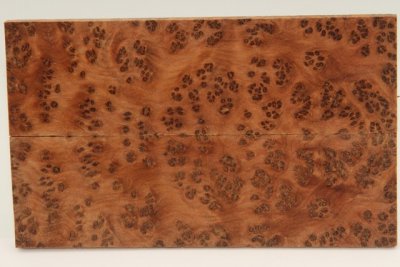 Plaquettes pour la coutellerie, Ronce de Thuya du Maroc, ref:PLpTM70322