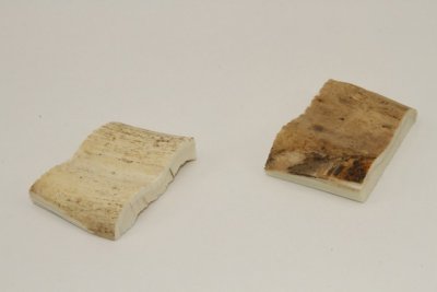 Mitres, défense de phacochère, ref:MPHACO70465