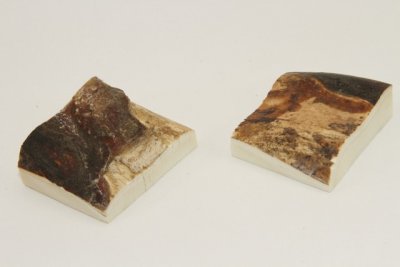 Mitres, défense de phacochère, ref:MPHACO70471
