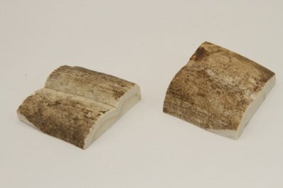 Mitres, défense de phacochère, ref:MPHACO70470