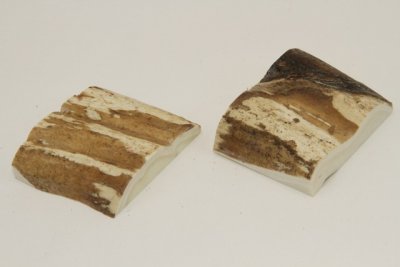 Mitres, défense de phacochère, ref:MPHACO70474