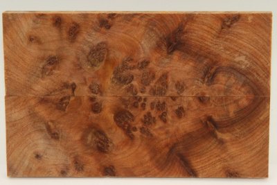 Plaquettes pour la coutellerie, Ronce de Thuya du Maroc, ref:PLpTM70798