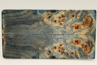 Plaquettes pour la coutellerie, Loupe de Peuplier stabilisée bleue, ref:PLpPEs70894b