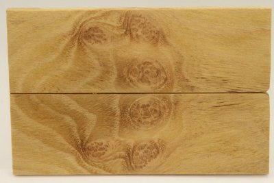 Plaquettes pour la coutellerie, Loupe d'acacia, ref:PLpAc70935